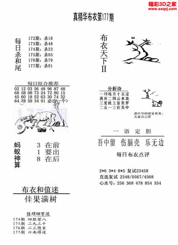 3d2022177期真精华布衣天下123456