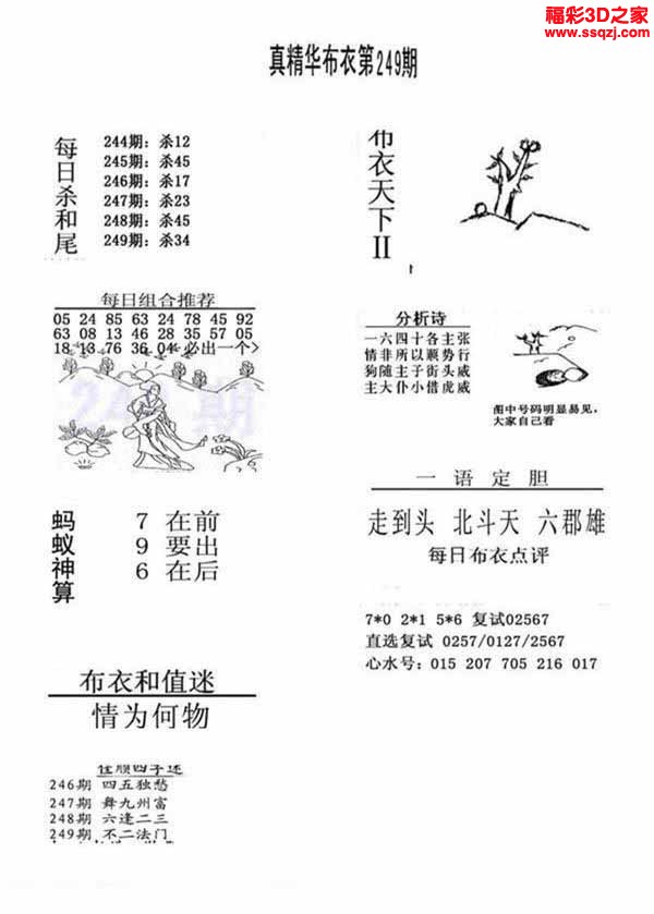 3d2022249期真精华布衣天下123456