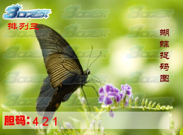 排列三2023287期:蝴蝶捉码图