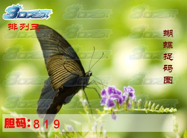 排列三2023296期:蝴蝶捉码图