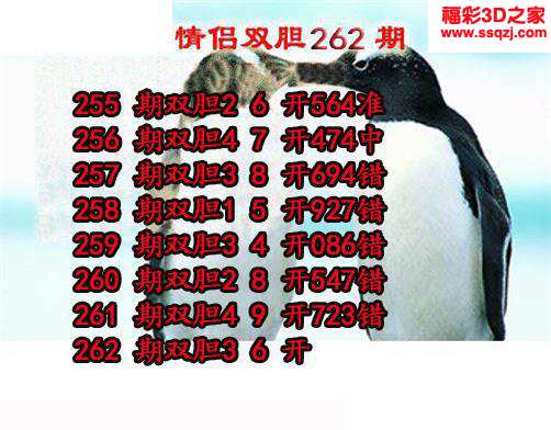 3d2023262期情侣双胆