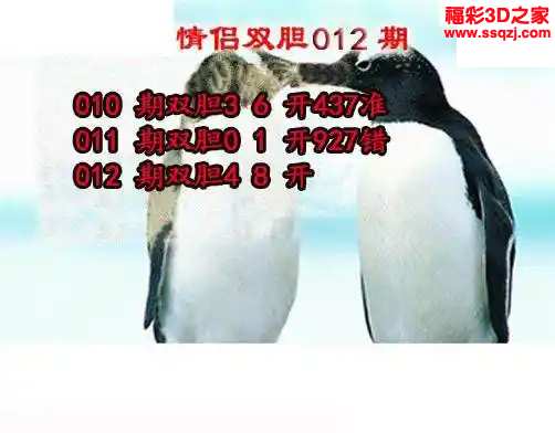 3d2024012期情侣双胆