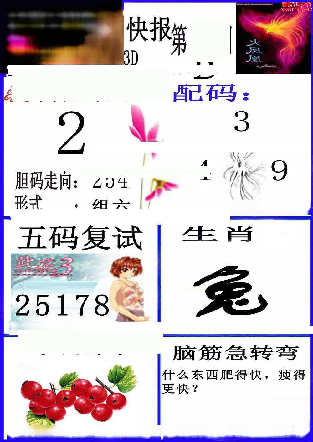 3d2024150期蓝版小夜猫B版