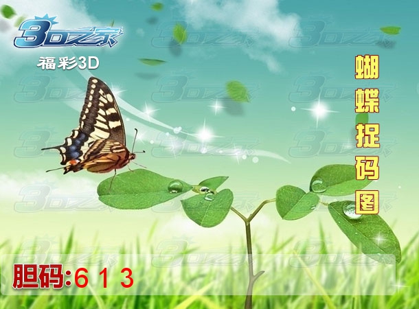 3D2023297期:蝴蝶捉码图