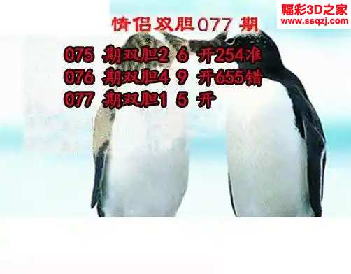 3d2024077期情侣双胆
