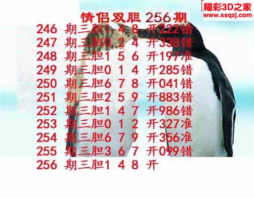 3d2022256期情侣双胆