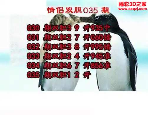 3d2024035期情侣双胆 连中