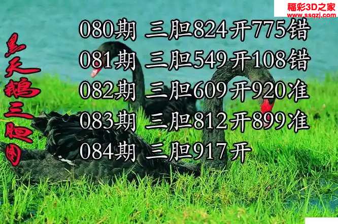 3d2024084期黑天鹅胆码图迷 连中