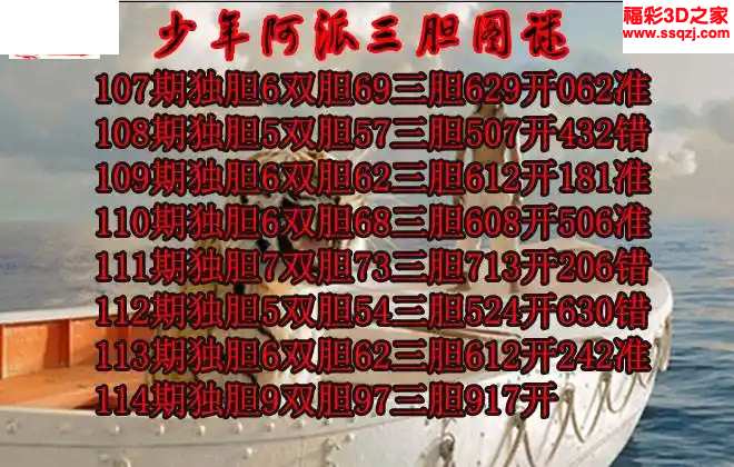 3d2024114期少年阿派胆码图 中2