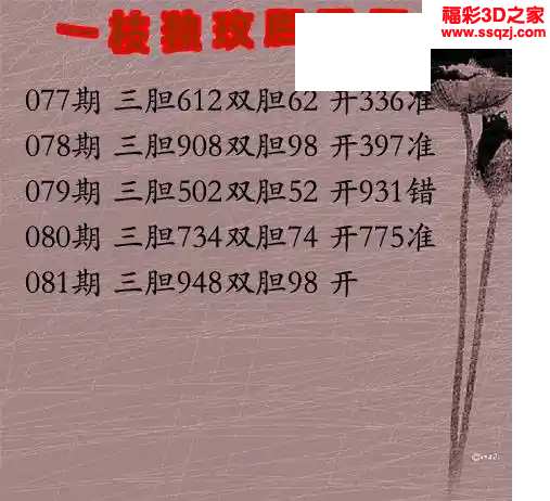 3d2024081期一支玫瑰三胆 中7