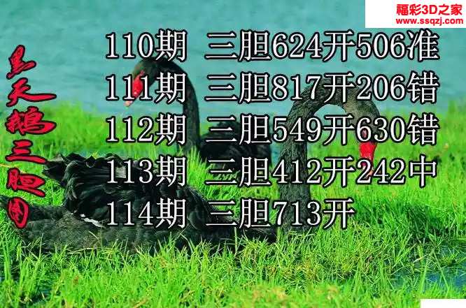 3d2024114期黑天鹅胆码图迷 中奖