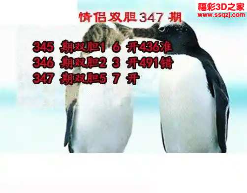 3d2023347期情侣双胆