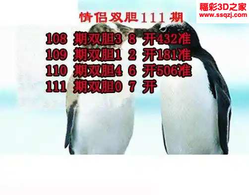 3d2024111期情侣双胆 3连中