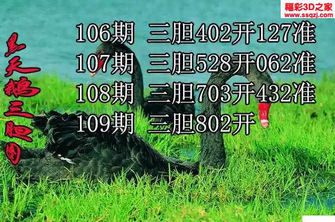3d2024109期黑天鹅胆码图迷 3连中
