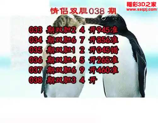 3d2024038期情侣双胆 连中