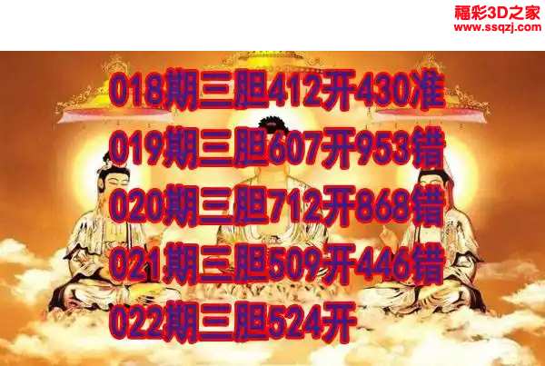 3d2024022期丹东双胆王