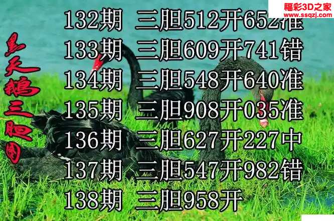 3d2024139期黑天鹅胆码图迷