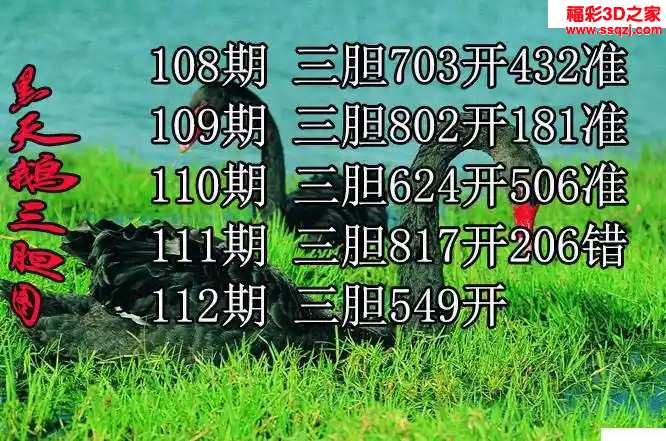 3d2024112期黑天鹅胆码图迷