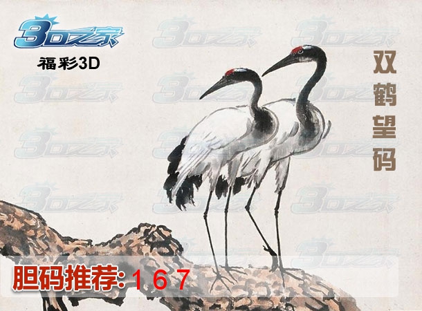 3D2023340期:双鹤望码