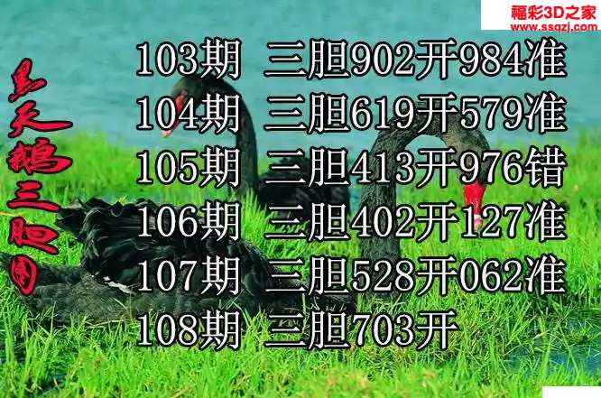 3d2024108期黑天鹅胆码图迷 连中