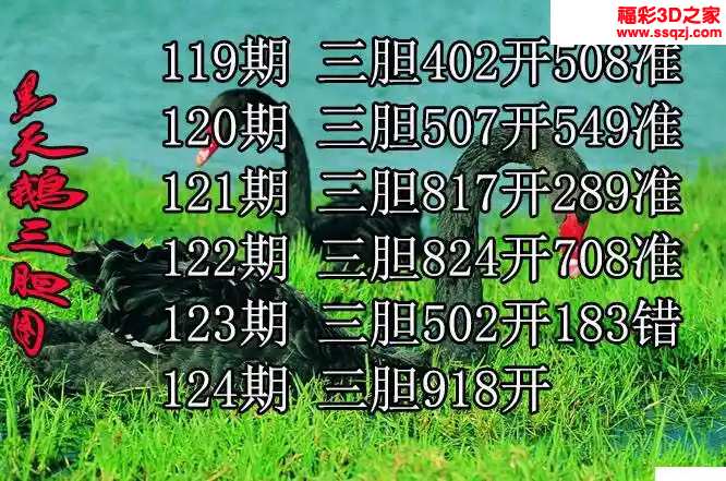 3d2024124期黑天鹅胆码图迷