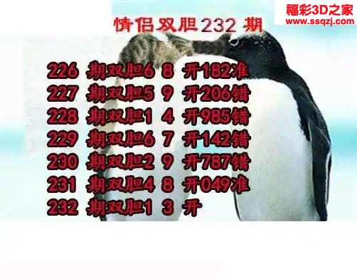 3d2023232期情侣双胆 中4