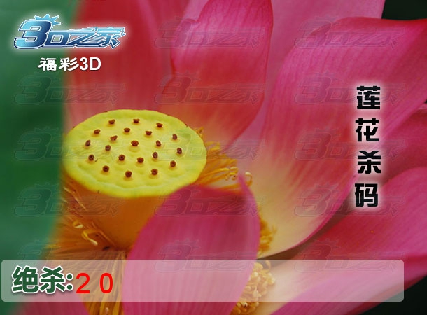 3D2024029期:莲花杀码