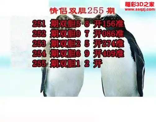 3d2024255期情侣双胆 4连中