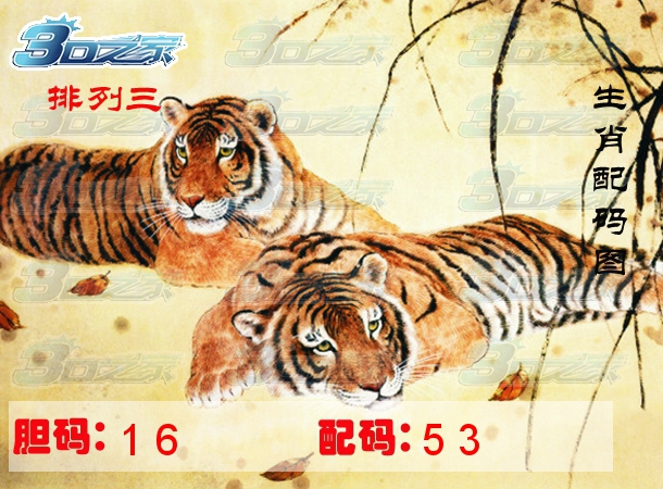 3D2023055期:生肖配码图