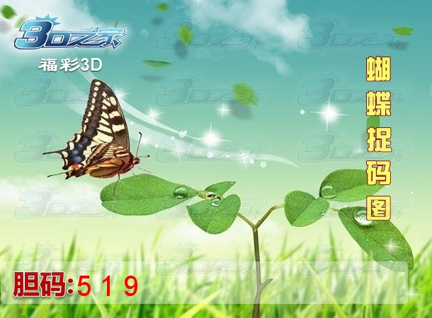 3D2023049期:蝴蝶捉码图