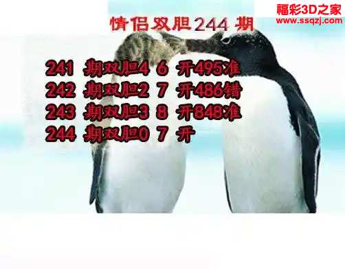 3d2023244期情侣双胆 中8