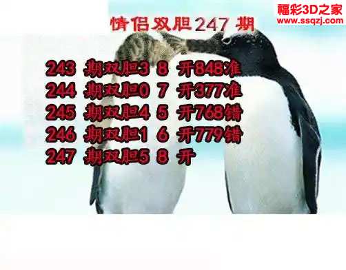3d2023247期情侣双胆
