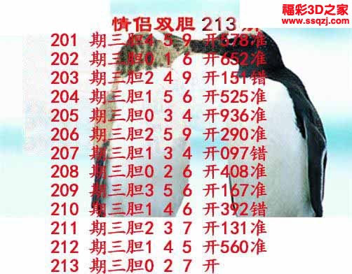 3d2022213期情侣双胆 连中
