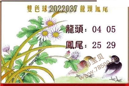 双色球2022037期龙头凤尾图谜