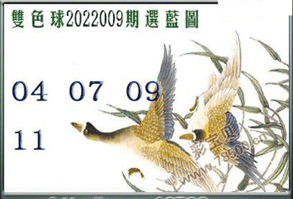 双色球2022009期选蓝图