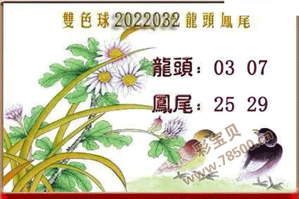 双色球2022032期龙头凤尾图谜