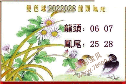 双色球2022028期龙头凤尾图谜
