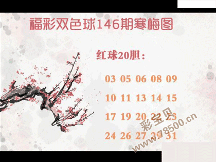双色球2021146期寒梅图谜