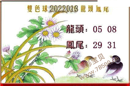 双色球2022013期龙头凤尾图谜