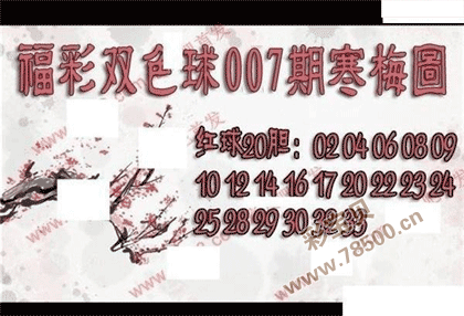 双色球2022007期寒梅图谜