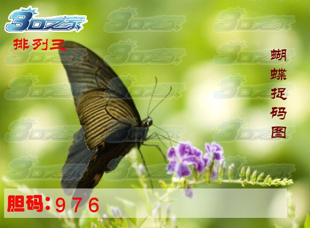排列三2024004期:蝴蝶捉码图
