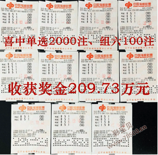 3D开奖号码