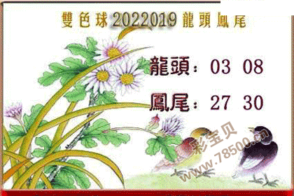 双色球2022019期龙头凤尾图谜