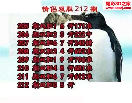 3d2023212期情侣双胆 4连中