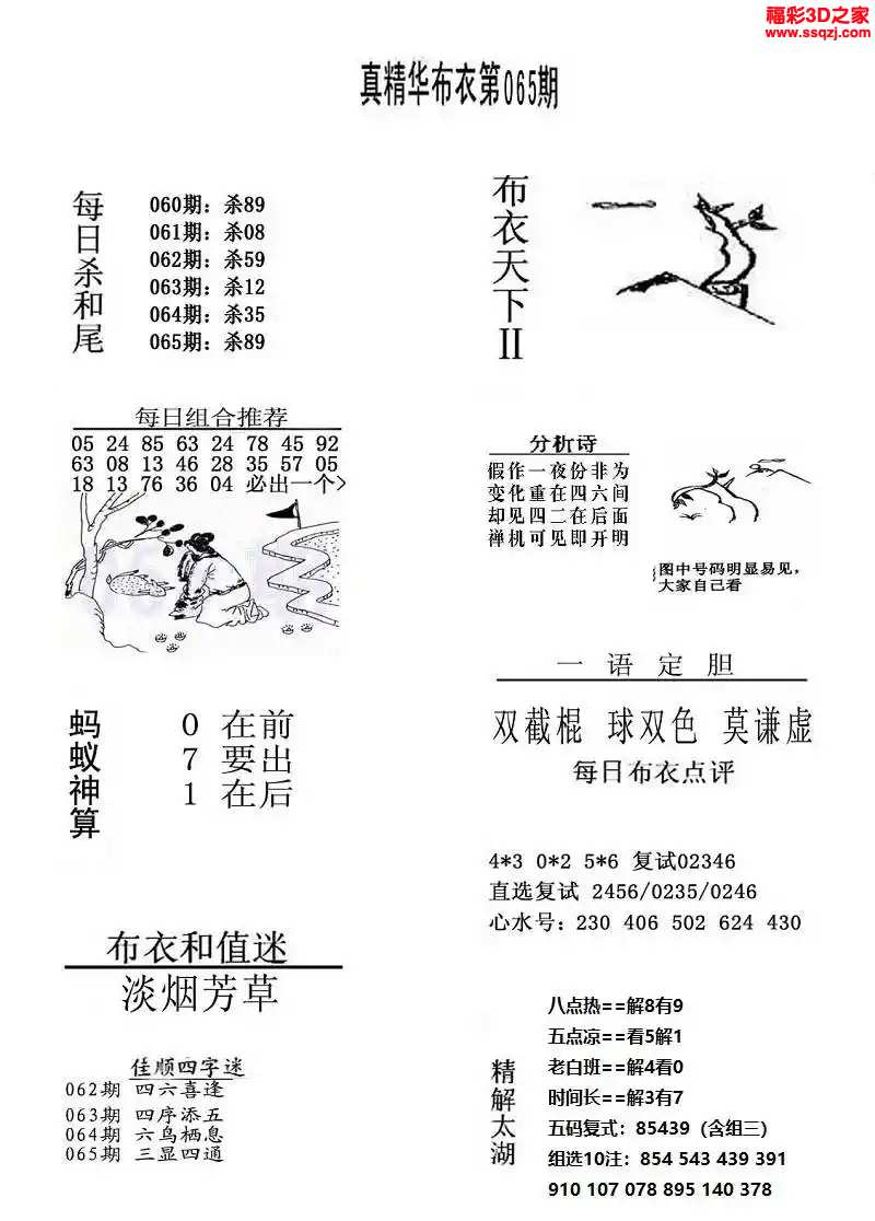 3d2024065期真精华布衣天下123456
