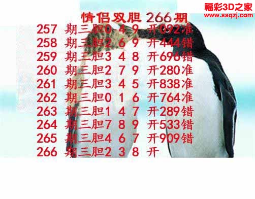 3d2022266期情侣双胆