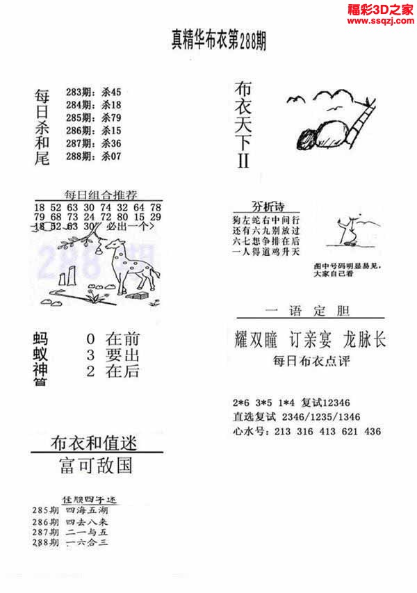 3d2022288期原始绝对布衣1234