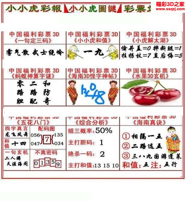 3d2023001期小小虎图谜12