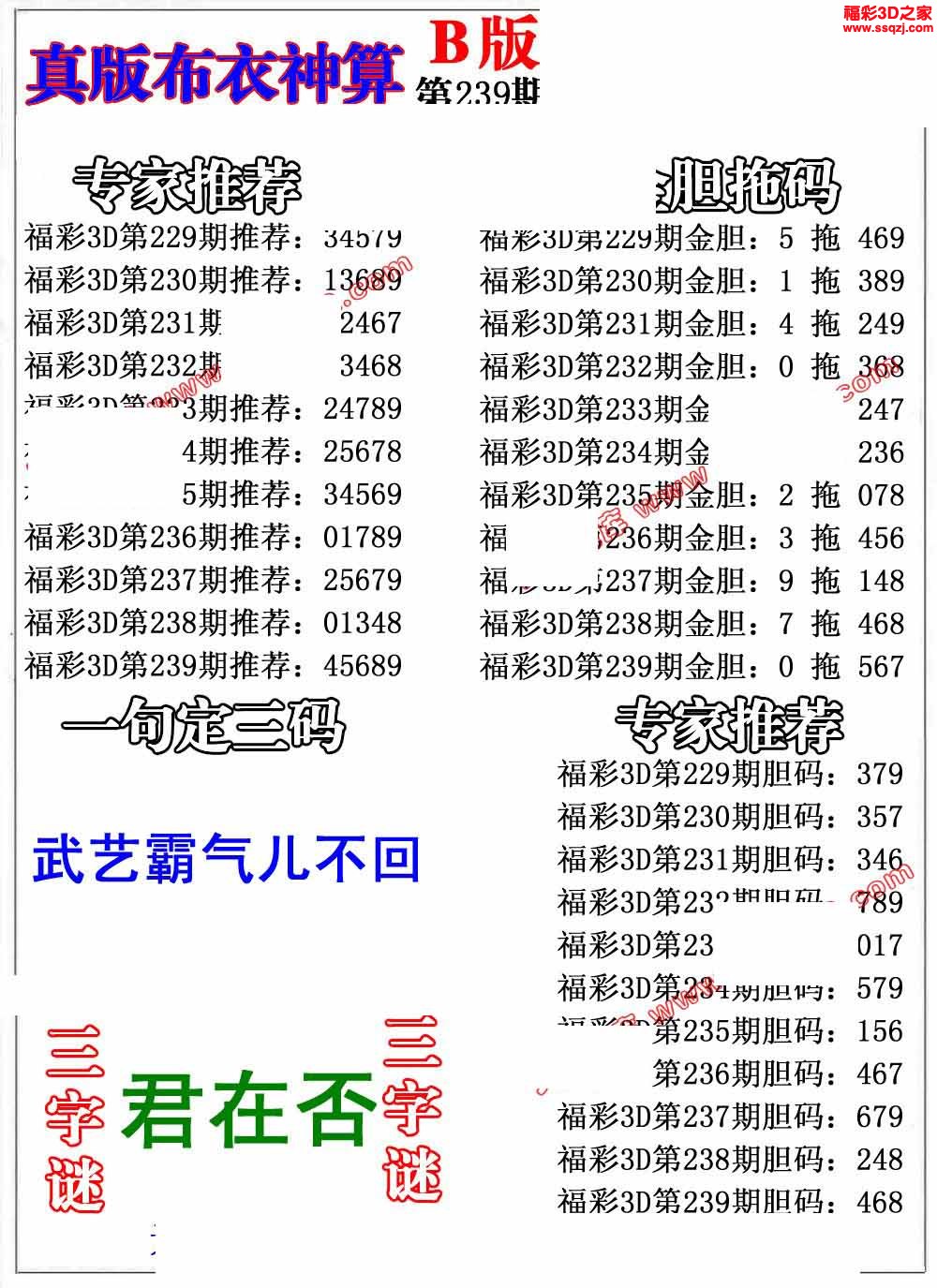 3d2022239期布衣神算AB版