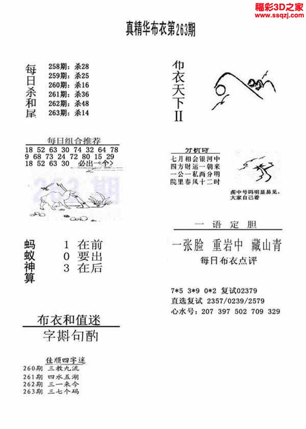 3d2022263期真精华布衣天下123456